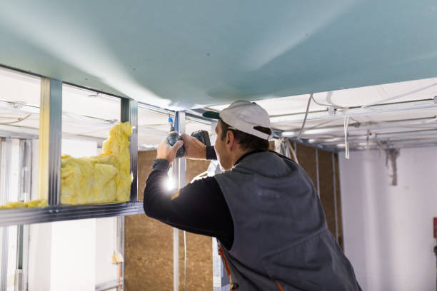 Best Insulation Maintenance and Repair in Weston, MO